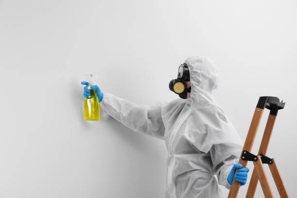 Best Biohazard Mold Removal  in Muenster, TX